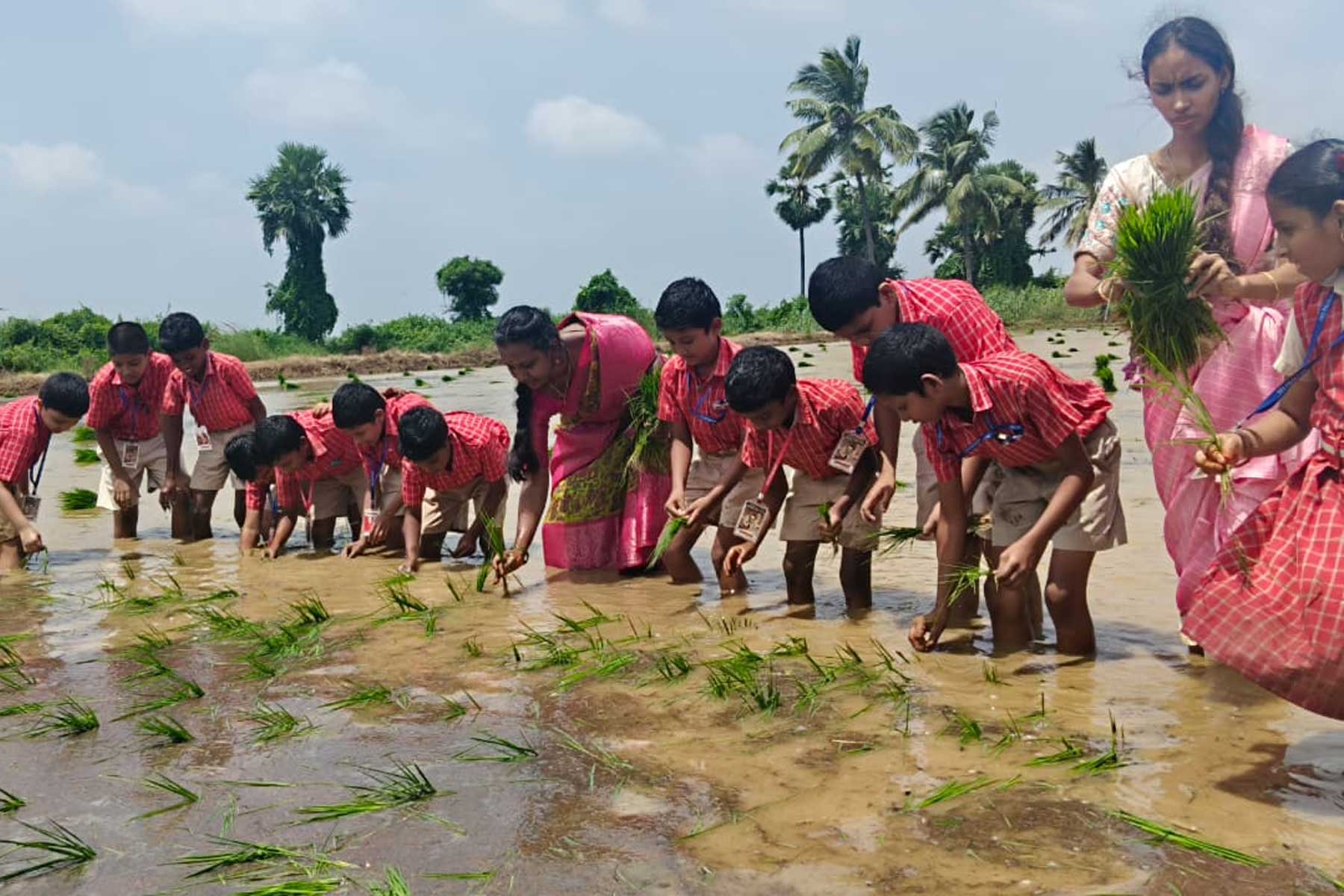 Learning Beyond the Classroom