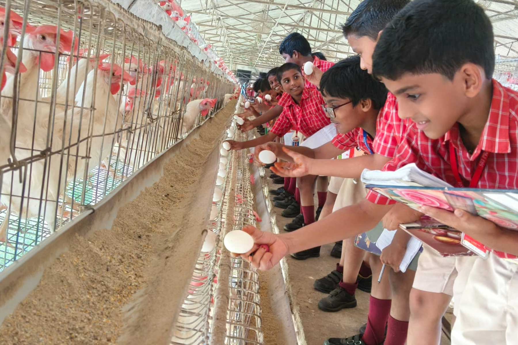 Sri Prakash Students Embrace Experiential Learning Through a Poultry Farm Visit