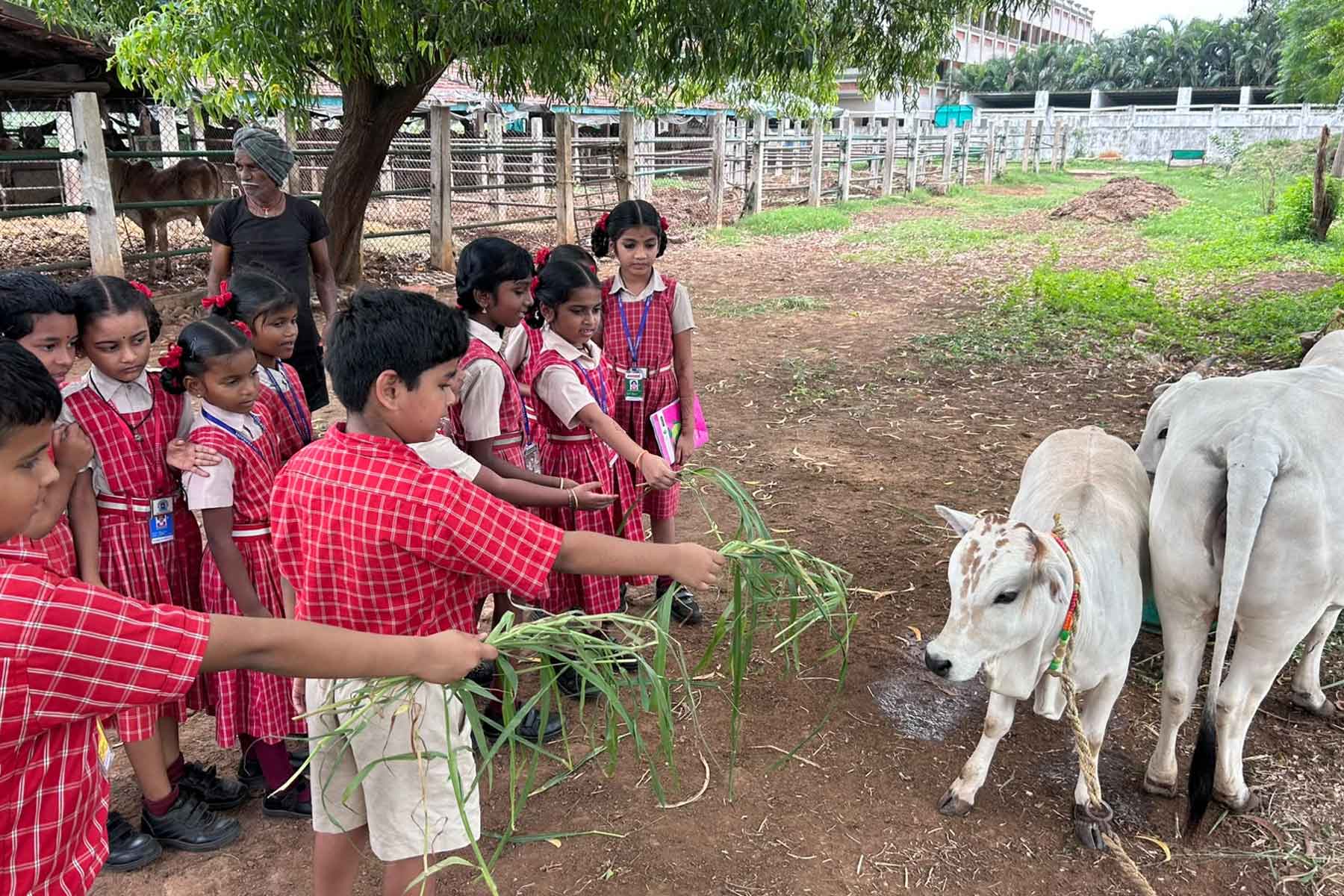 Learning Beyond the Classroom: A Visit to a Dairy Farm