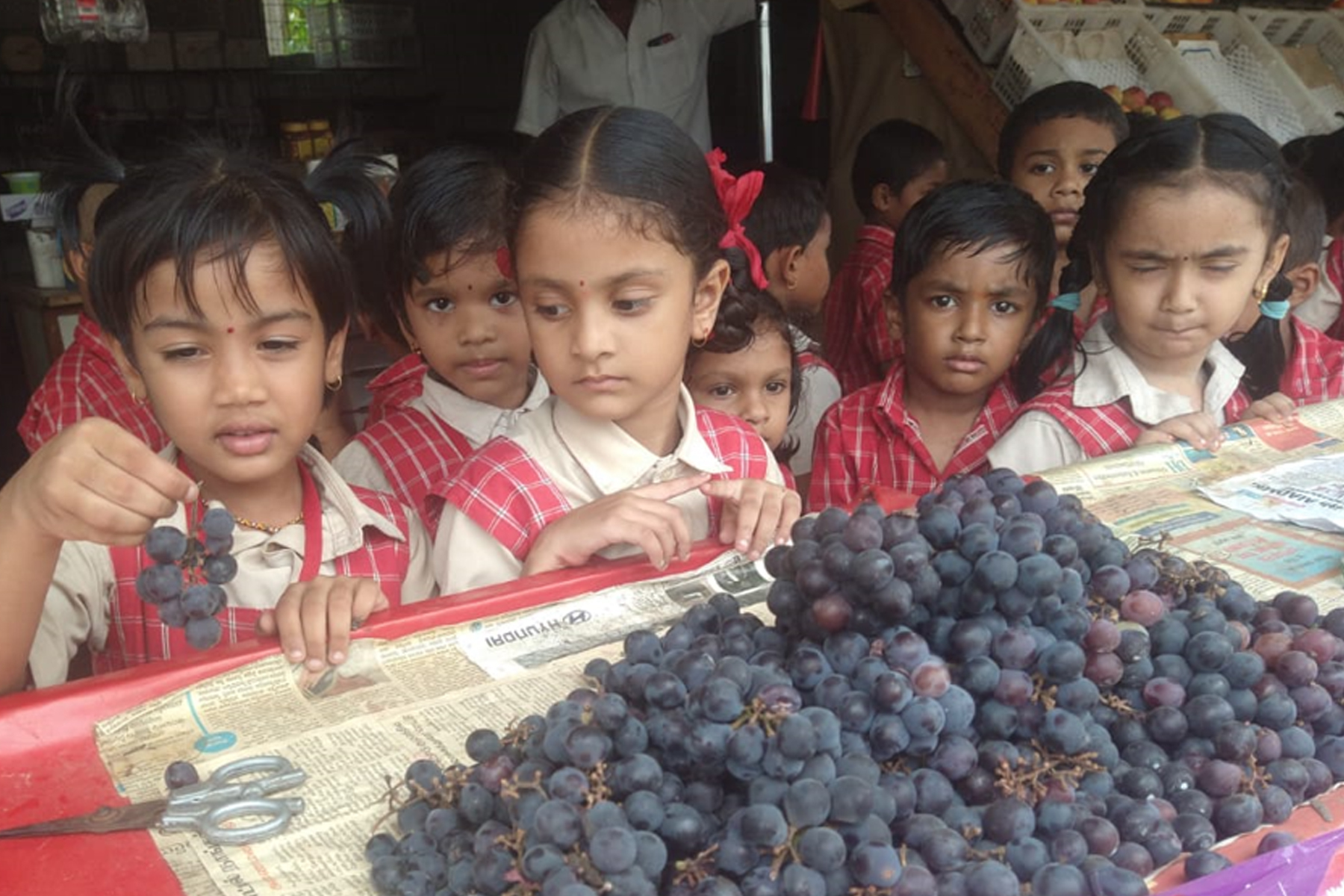 An exciting journey through the market