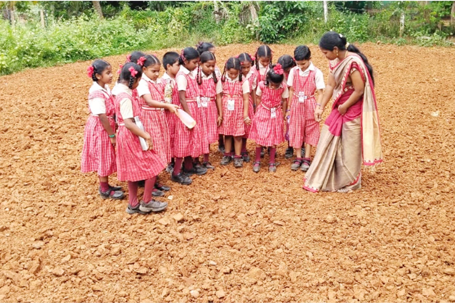 Cognizing types of soils