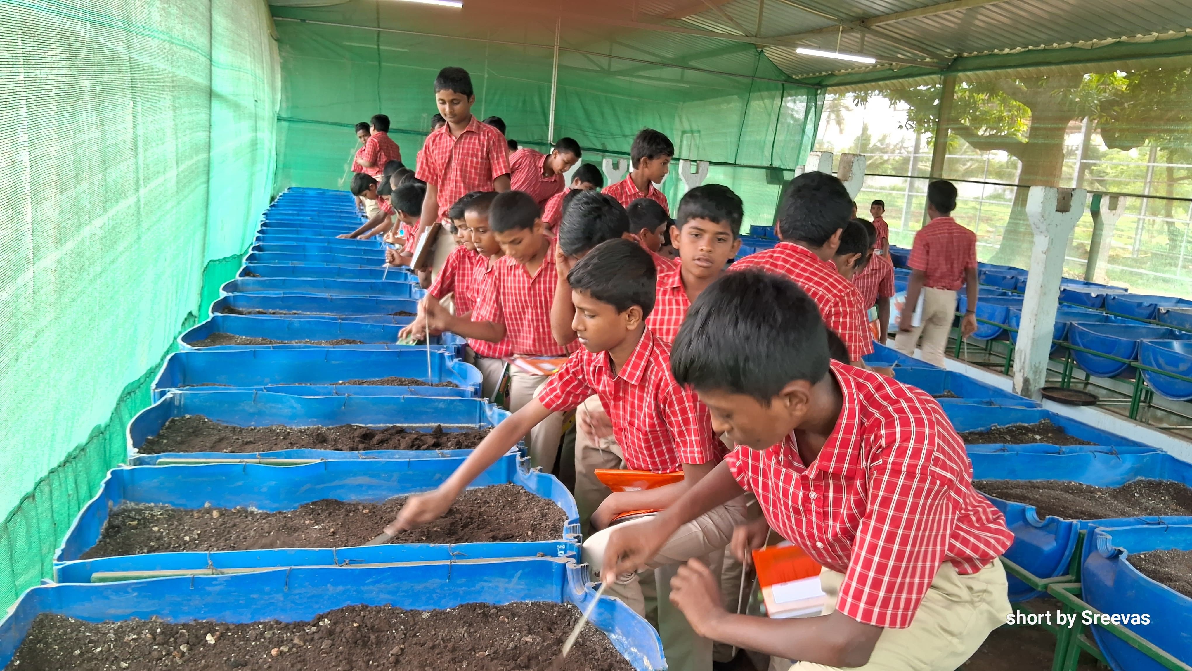 Field Trip to the Vermicompost Plant: Exploring Earthworms in Organic Cultivation