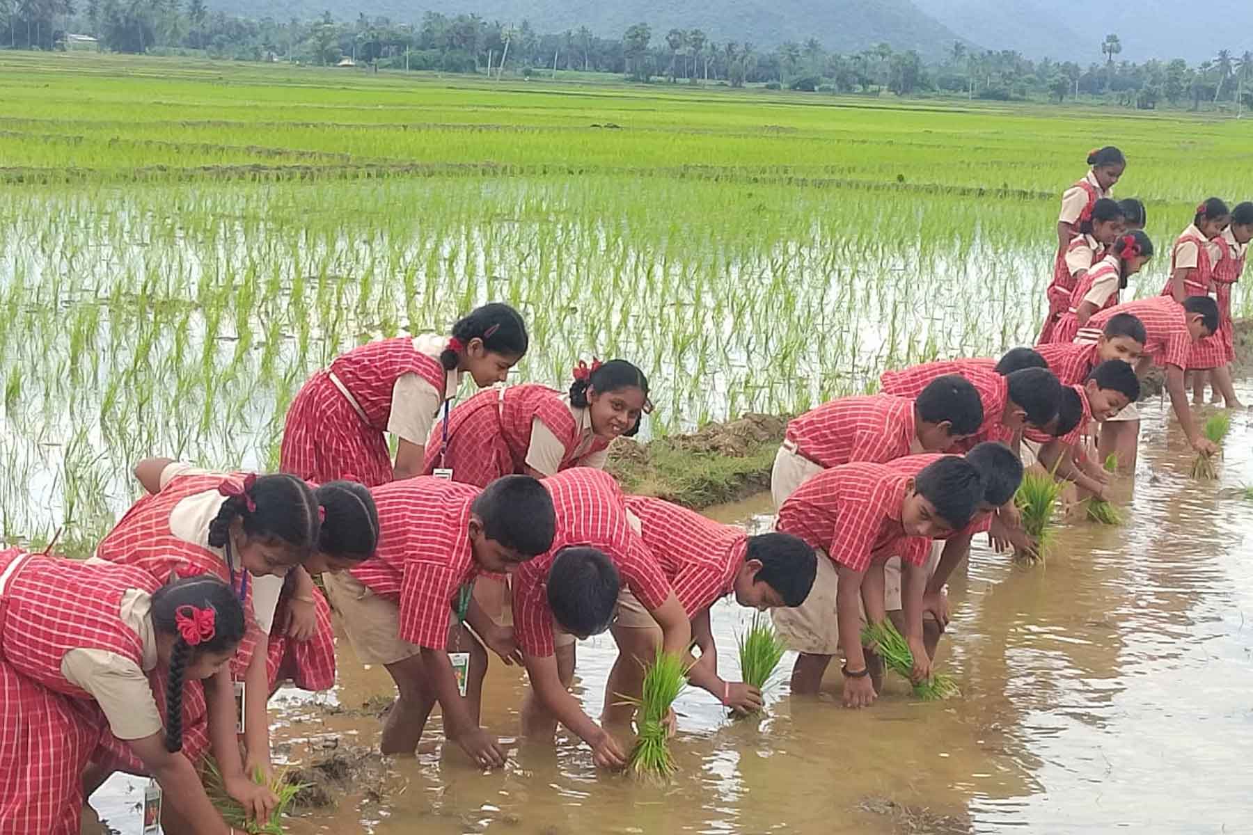 HARVEST KNOWLEDGE ON AGRICULTURAL FARM