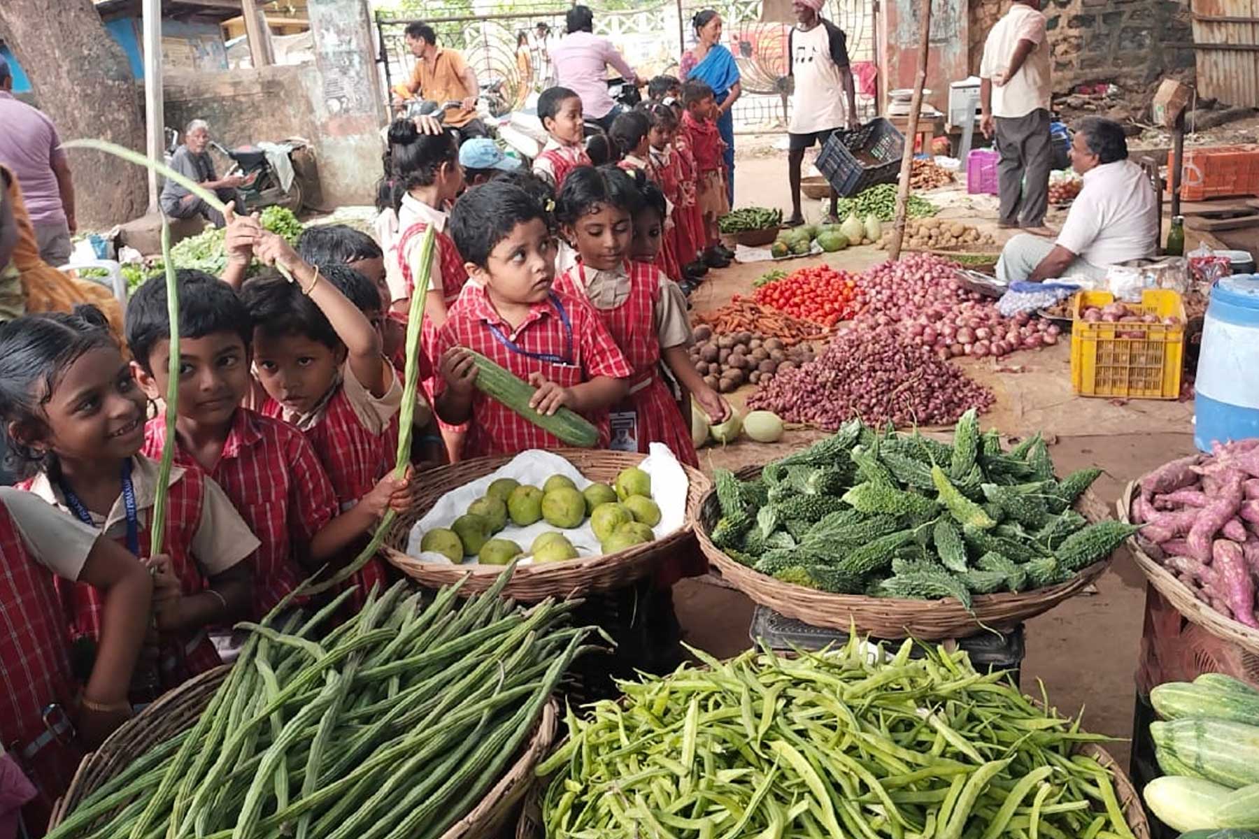 VEGGIES VIBES AND FRUITFUL DISCOVERIES